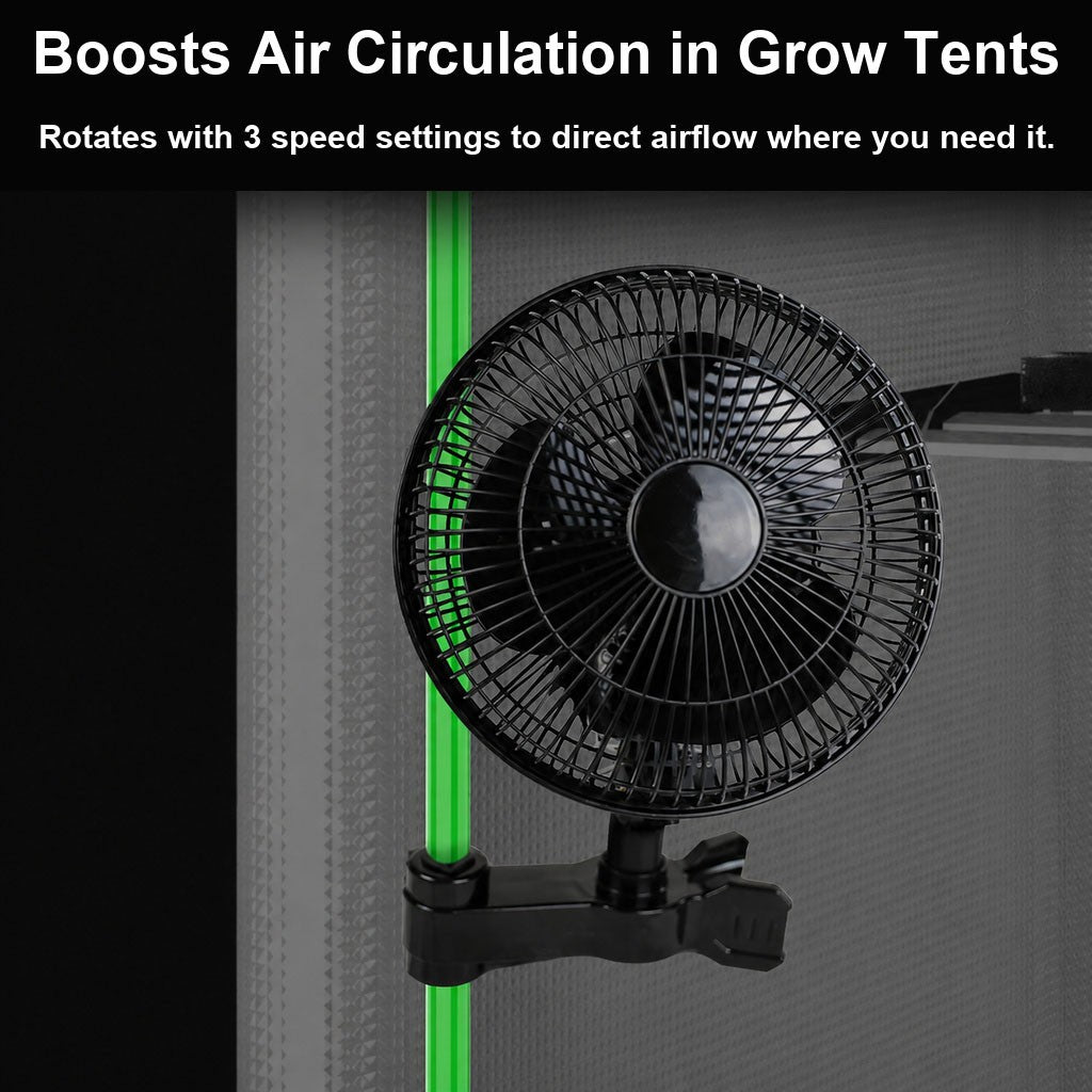 41c31b42e4122360f569378a77f27a4e