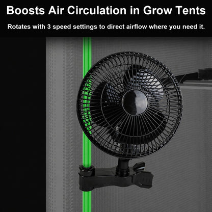 41c31b42e4122360f569378a77f27a4e